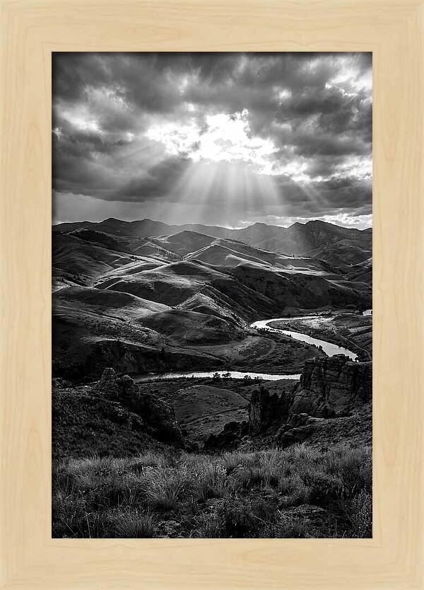 Rolling Hills Of Palouse