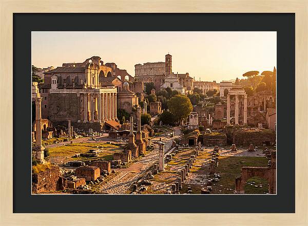 Roman Forum Illuminated By Sunset