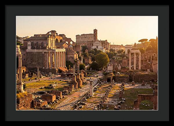 Roman Forum Illuminated By Sunset