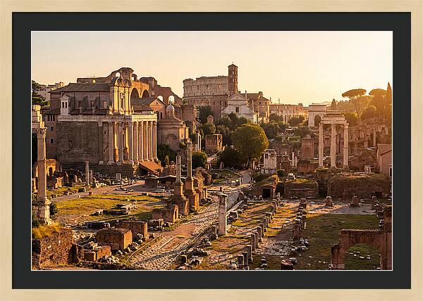 Roman Forum Illuminated By Sunset
