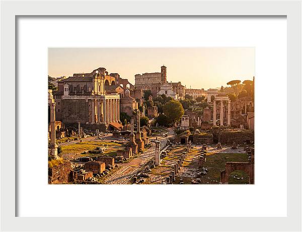 Roman Forum Illuminated By Sunset