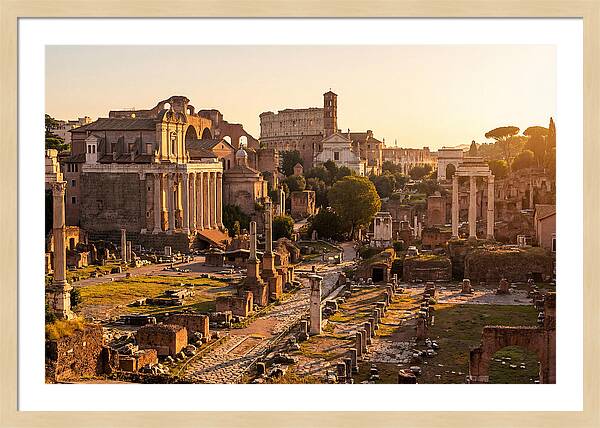 Roman Forum Illuminated By Sunset
