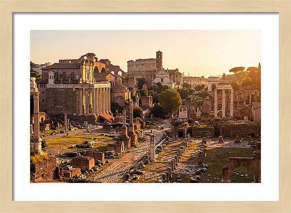 Roman Forum Illuminated By Sunset