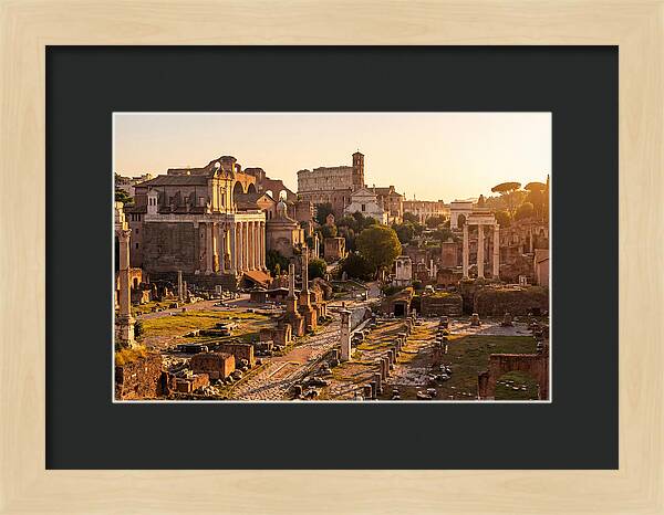 Roman Forum Illuminated By Sunset