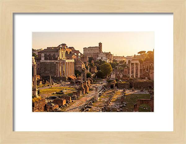 Roman Forum Illuminated By Sunset