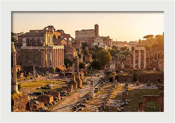 Roman Forum Illuminated By Sunset