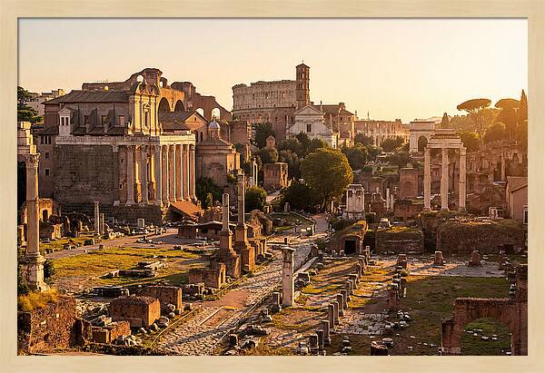 Roman Forum Illuminated By Sunset