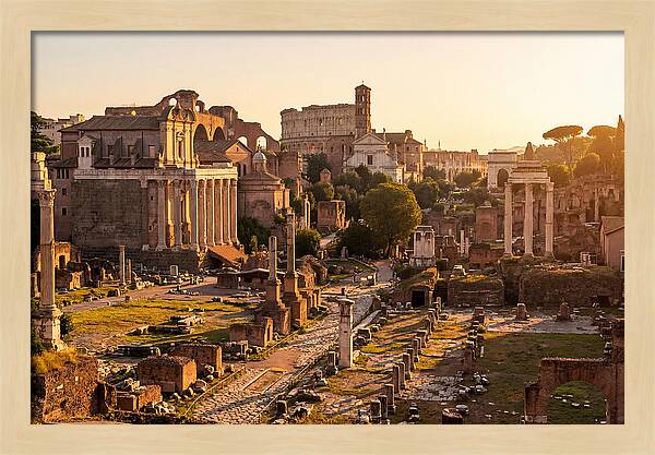 Roman Forum Illuminated By Sunset