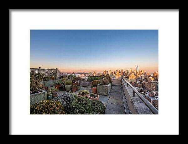 Rooftop Garden Oasis Overlooking City