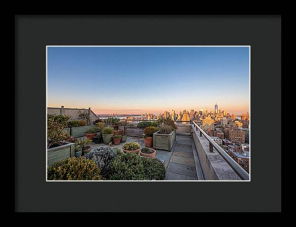 Rooftop Garden Oasis Overlooking City
