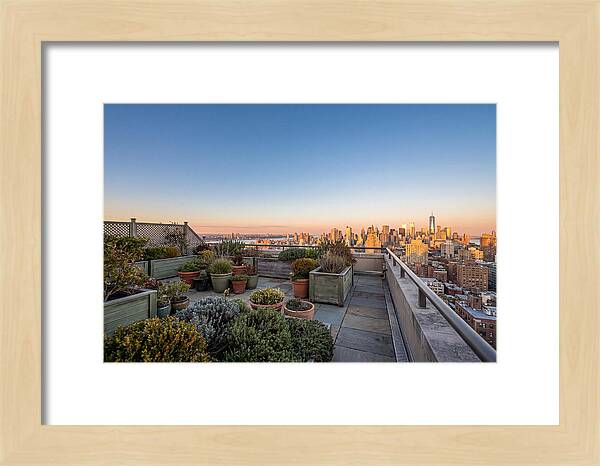 Rooftop Garden Oasis Overlooking City