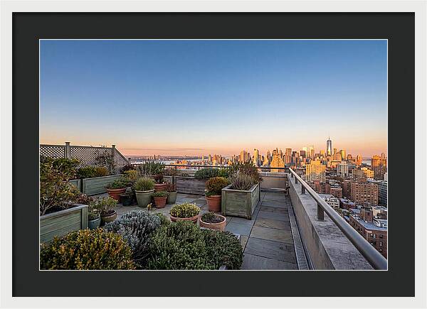 Rooftop Garden Oasis Overlooking City