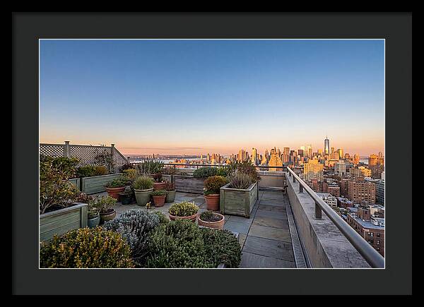 Rooftop Garden Oasis Overlooking City