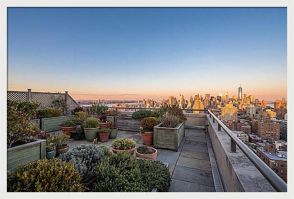 Rooftop Garden Oasis Overlooking City