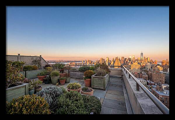 Rooftop Garden Oasis Overlooking City