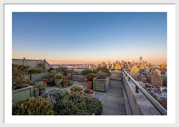 Rooftop Garden Oasis Overlooking City