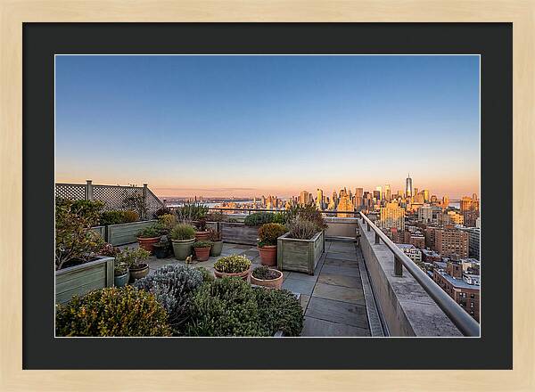 Rooftop Garden Oasis Overlooking City