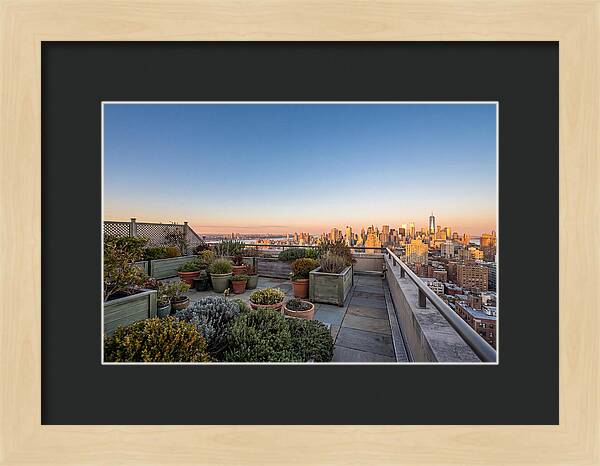 Rooftop Garden Oasis Overlooking City