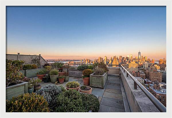 Rooftop Garden Oasis Overlooking City