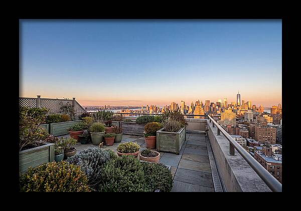 Rooftop Garden Oasis Overlooking City