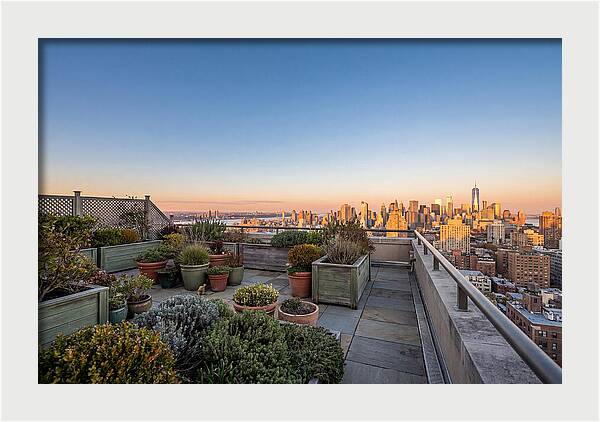 Rooftop Garden Oasis Overlooking City