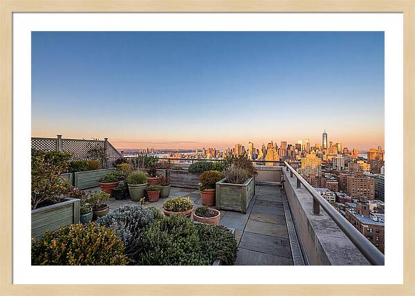 Rooftop Garden Oasis Overlooking City
