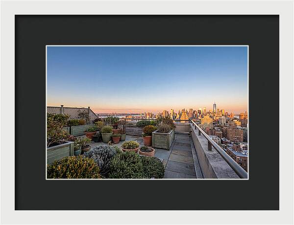 Rooftop Garden Oasis Overlooking City