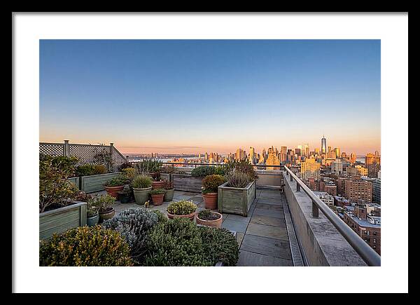 Rooftop Garden Oasis Overlooking City