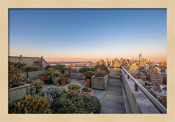 Rooftop Garden Oasis Overlooking City