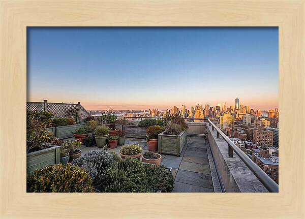 Rooftop Garden Oasis Overlooking City