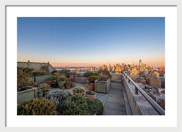 Rooftop Garden Oasis Overlooking City