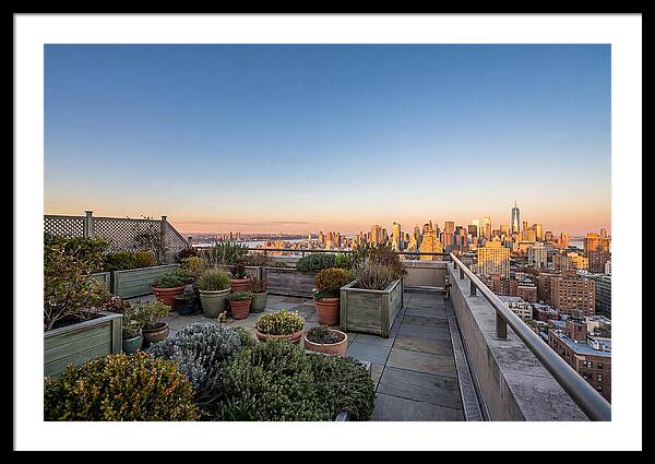 Rooftop Garden Oasis Overlooking City