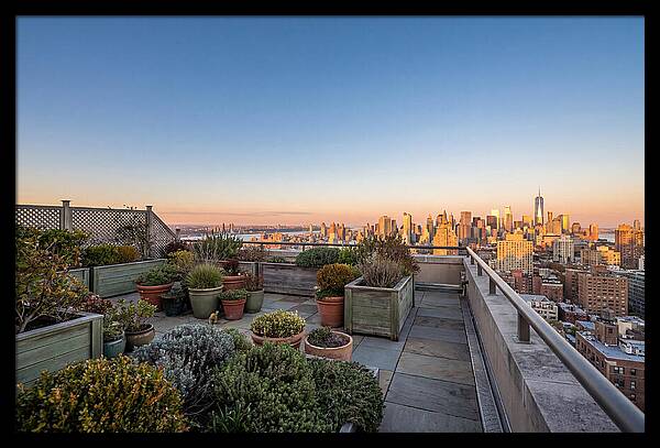 Rooftop Garden Oasis Overlooking City
