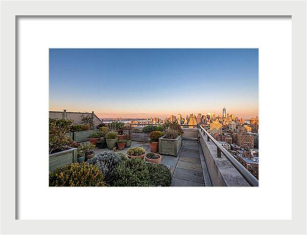 Rooftop Garden Oasis Overlooking City