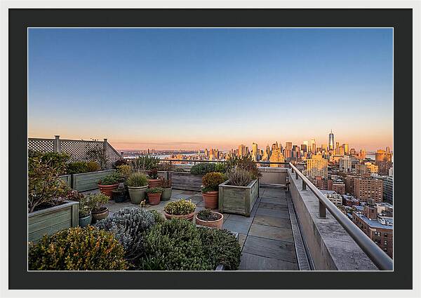 Rooftop Garden Oasis Overlooking City