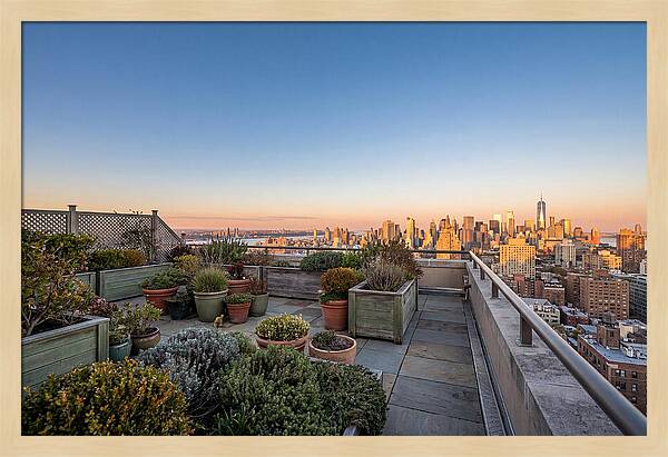 Rooftop Garden Oasis Overlooking City