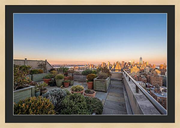 Rooftop Garden Oasis Overlooking City