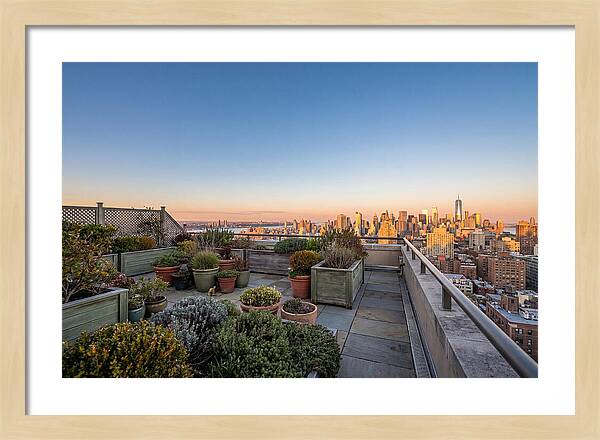 Rooftop Garden Oasis Overlooking City