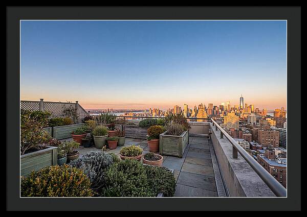 Rooftop Garden Oasis Overlooking City