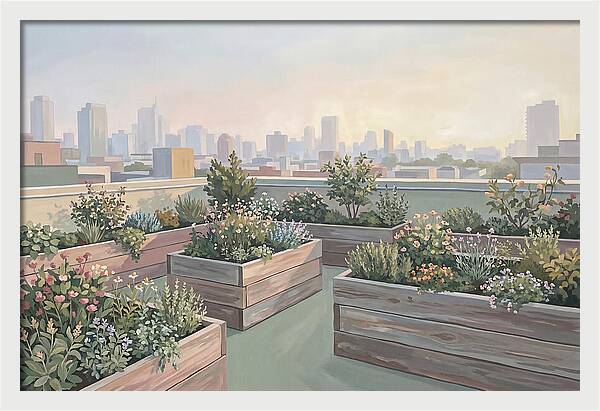 Rooftop Garden Serenity