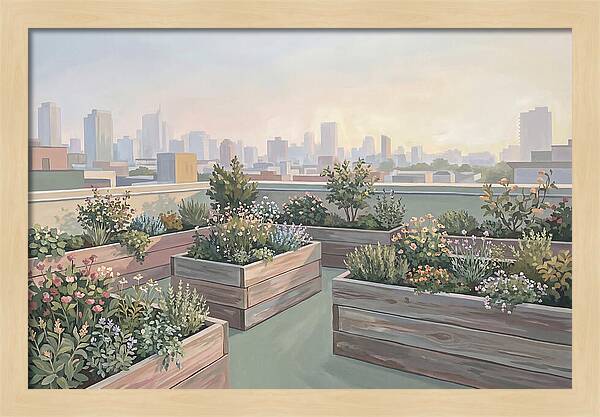 Rooftop Garden Serenity