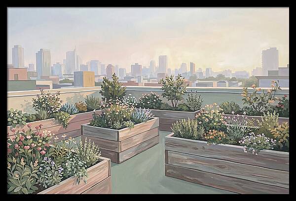 Rooftop Garden Serenity