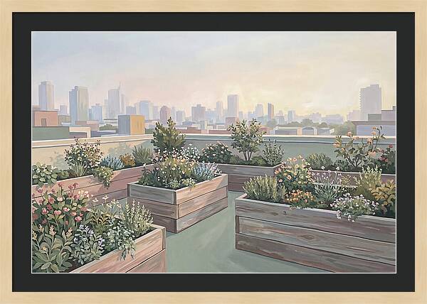 Rooftop Garden Serenity
