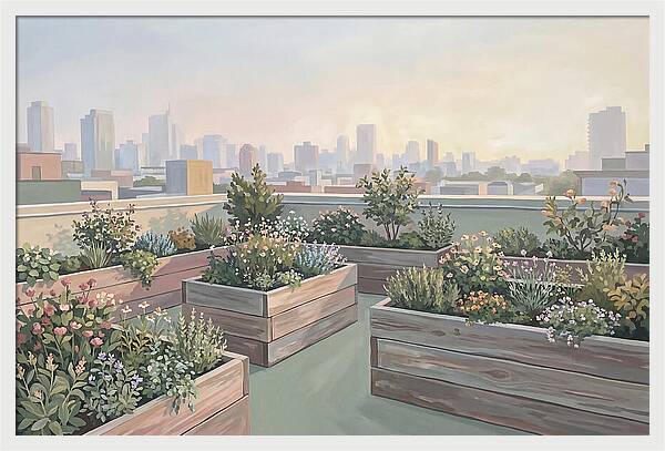 Rooftop Garden Serenity