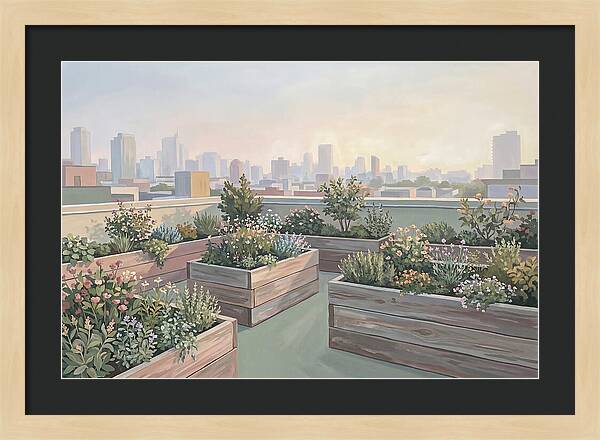 Rooftop Garden Serenity