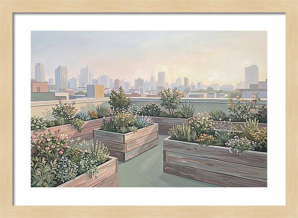 Rooftop Garden Serenity
