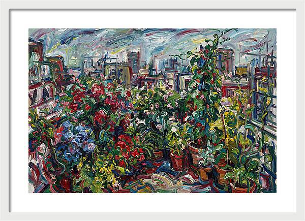 Rooftop Garden Vibrance