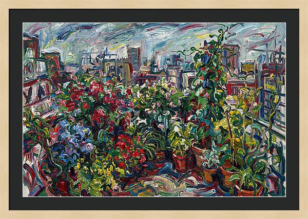 Rooftop Garden Vibrance