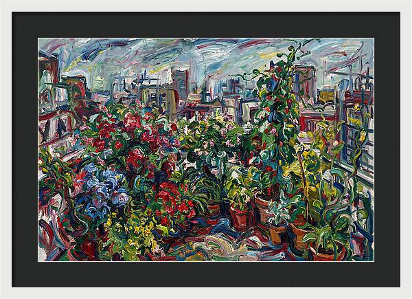 Rooftop Garden Vibrance