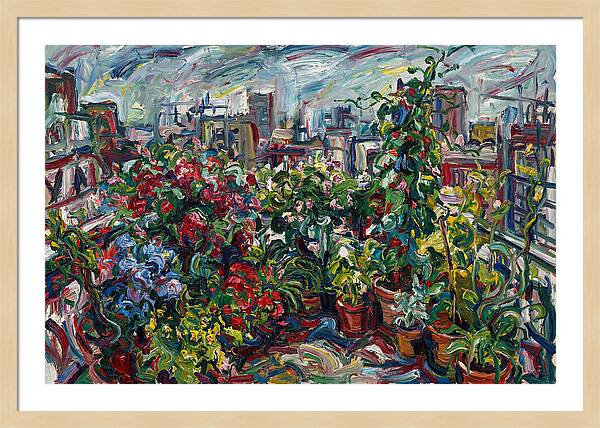 Rooftop Garden Vibrance
